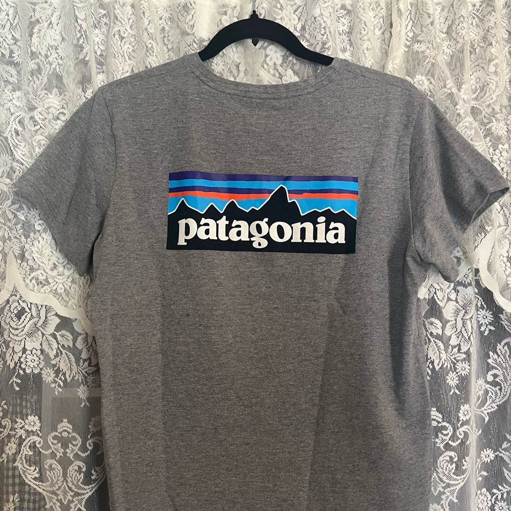 Patagonia Gray Baby Tee
